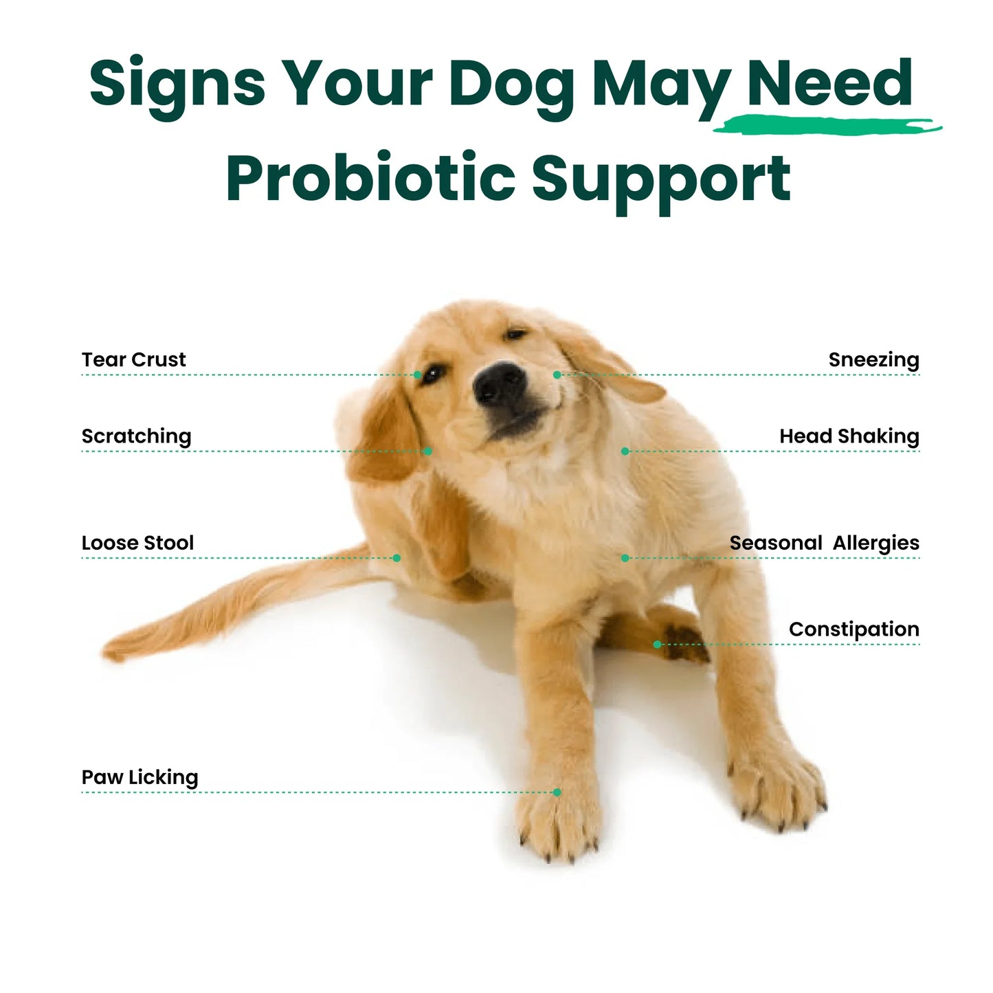 Dog Daily Probiotic + Multivitamin Chews