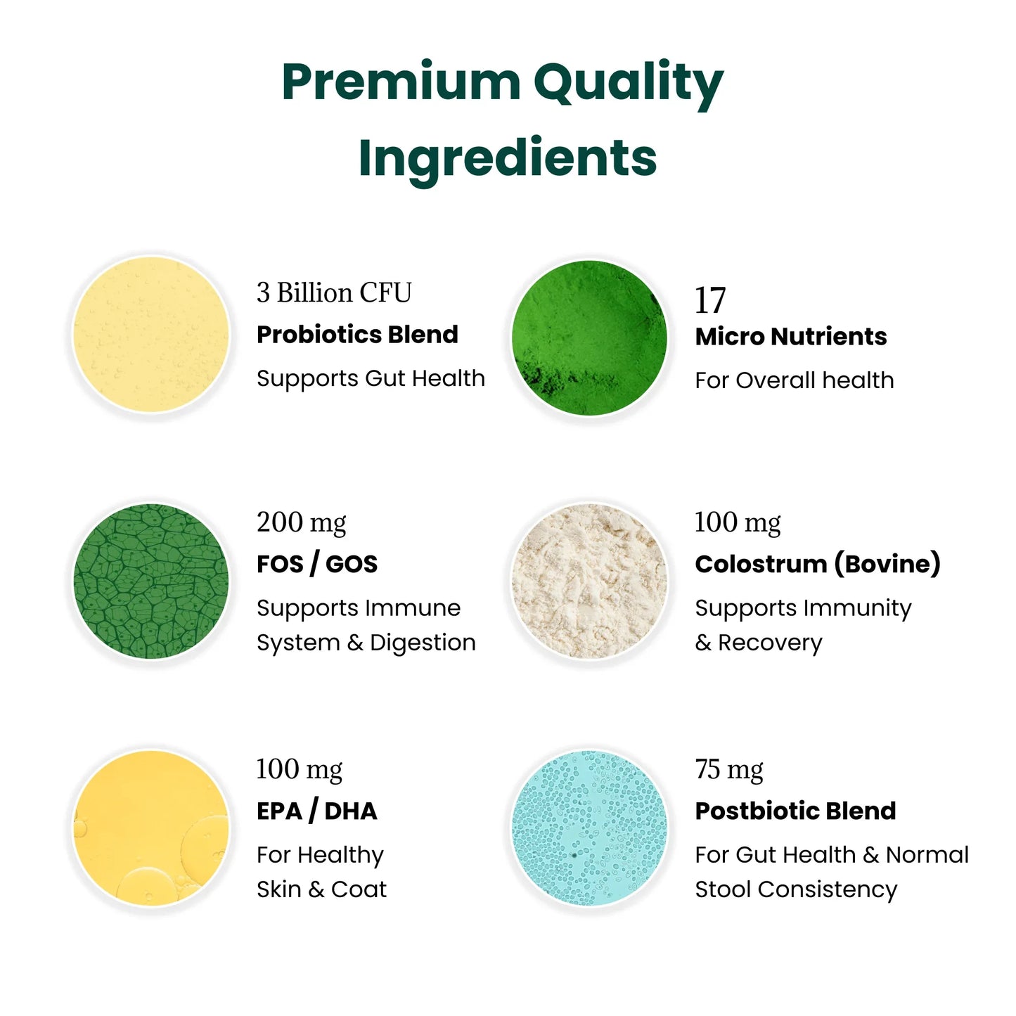 Dog Daily Probiotic + Multivitamin Chews